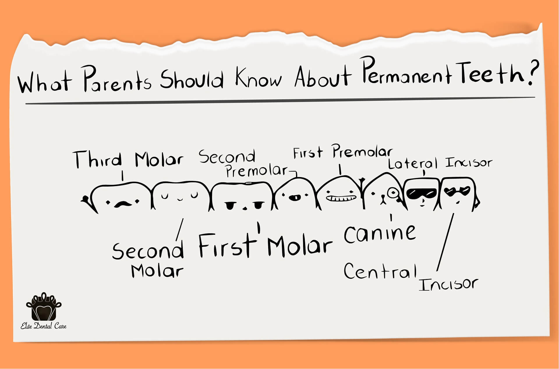 What Every Parent Needs To Know About Permanent Teeth