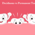 Deciduous vs Permanent Teeth
