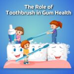The Role of Toothbrush in Gum Health